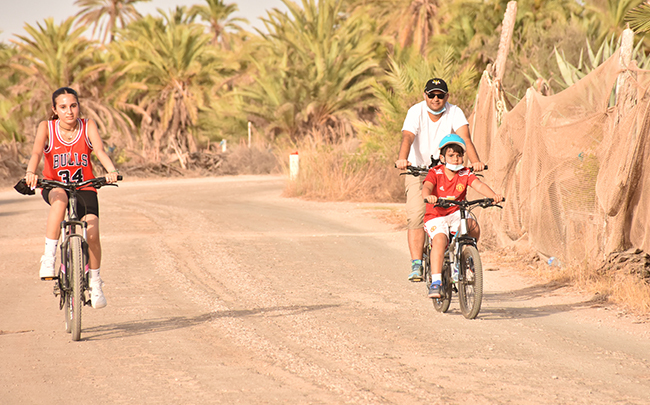 APPRENTISSAGE VÉLO